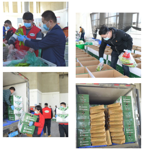 1651219782859789.png 118.png