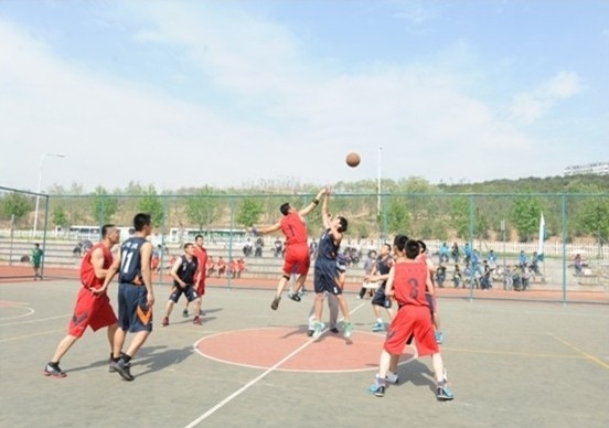 1651825259225377.jpg 91.jpg