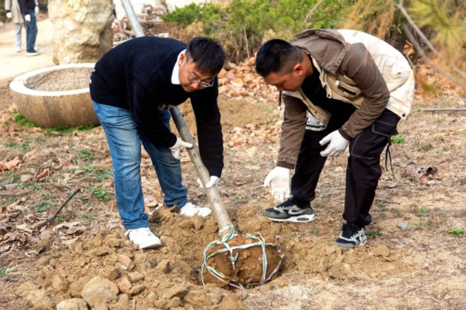 春風(fēng)十里，植下一片綠 | 瑞源控股集團(tuán)開展2023年植樹節(jié)系列活動(dòng)
