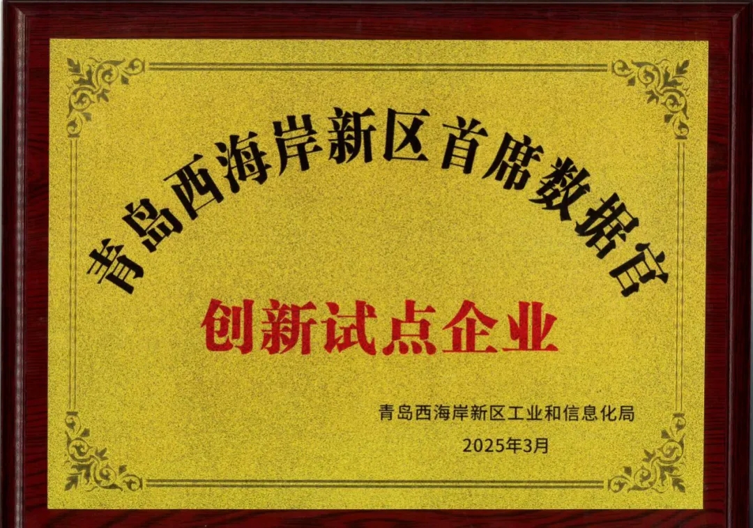 文達通股份入選新區(qū)首批首席數(shù)據(jù)官創(chuàng)新試點企業(yè)